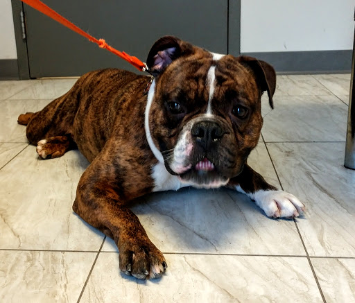 1515 E 66th St, Richfield, MN 55423, USA