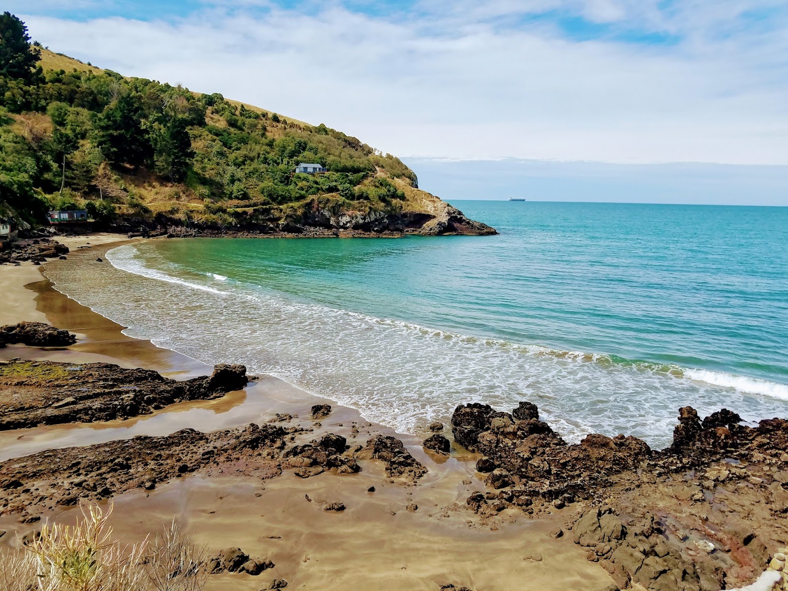 Taylors Mistake Beach'in fotoğrafı parlak kum yüzey ile