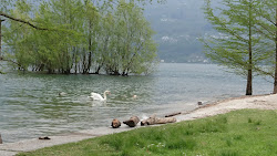 Lido Locarno'in fotoğrafı ve yerleşim