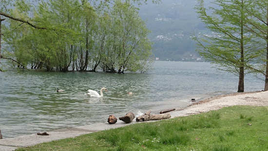 Lido Locarno