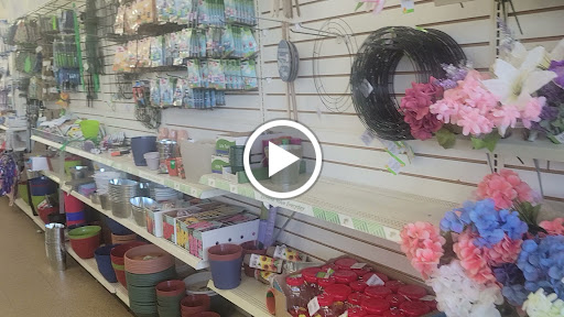 Dollar Store «Dollar Tree», reviews and photos, 224 A Eglin Pkwy NE, Fort Walton Beach, FL 32547, USA