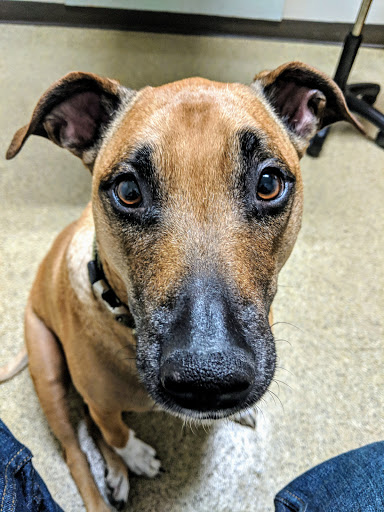 4223 Montgomery Hwy, Dothan, AL 36303, USA