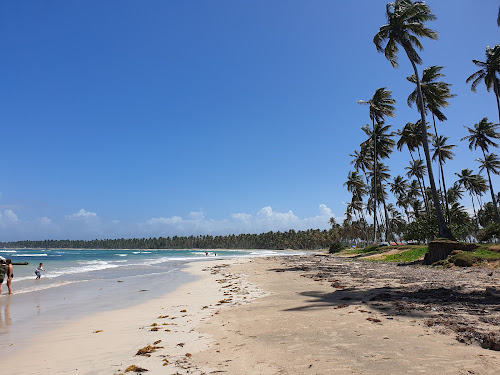 Playa Los Cocos photo #1
