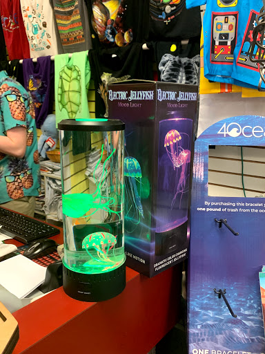 Toy Store «Science Safari Inc.», reviews and photos, 1255 Kildaire Farm Rd, Cary, NC 27511, USA