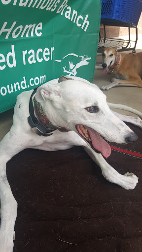 Pet Supply Store «PetSmart», reviews and photos, 5336 Westpointe Plaza Drive, Columbus, OH 43228, USA