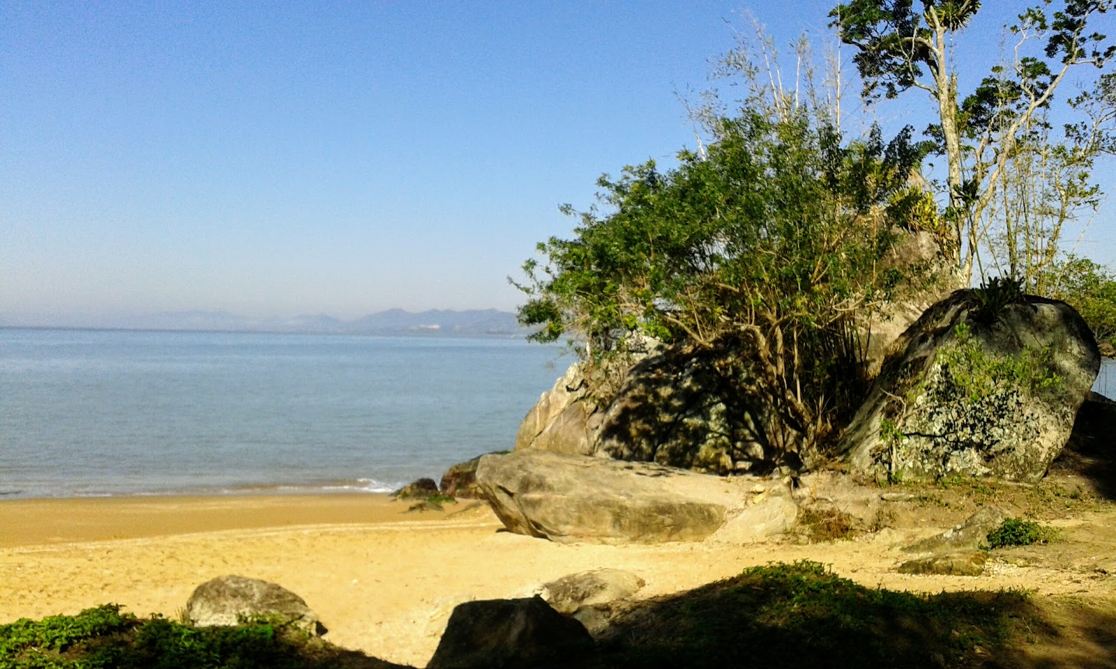 Ponta Grande photo #8