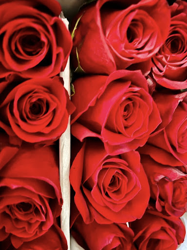 Florist «Perkasie Florist», reviews and photos, 101 N 5th St, Perkasie, PA 18944, USA