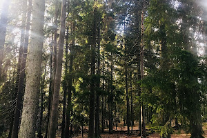 The Älvsjö Forest Nature Preserve image