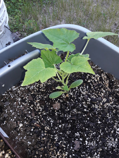 Garden Center «Agriventures Agway», reviews and photos, 126 Housatonic Ave, New Milford, CT 06776, USA