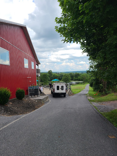 Winery «The Vineyard at Hershey», reviews and photos, 598 Schoolhouse Rd, Middletown, PA 17057, USA