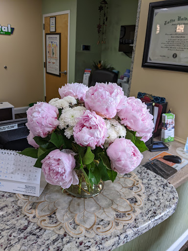 Florist «Dazzling Florist», reviews and photos, 909 West St, Annapolis, MD 21401, USA