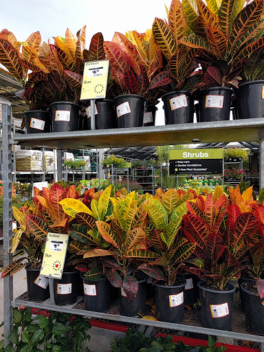 Home Improvement Store «The Home Depot», reviews and photos, 4385 Commons Dr W, Destin, FL 32541, USA