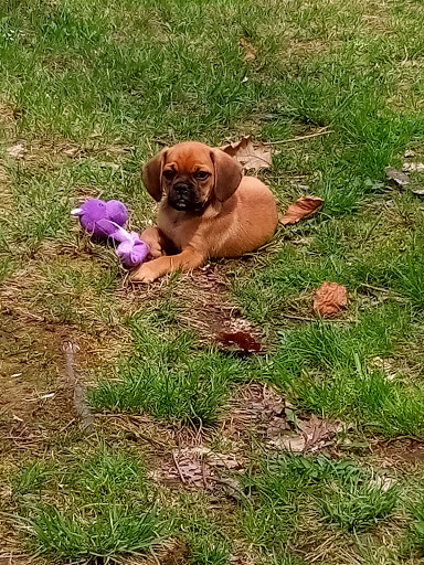 Pet Store «Park Avenue Birds & Pet Supply», reviews and photos, 120 W Center St, West Bridgewater, MA 02379, USA