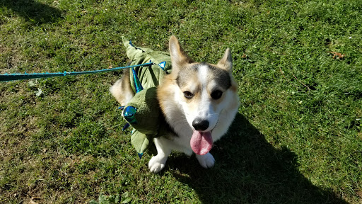 Park «Danehy Park», reviews and photos, 99 Sherman St, Cambridge, MA 02138, USA