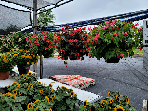 Market «South Main St Fruit Market», reviews and photos, 5012 Main St, Anderson, IN 46013, USA