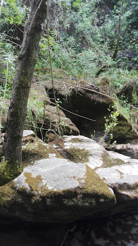 Sabores Apurados, Lda.