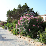 Photo n°7 de l'avis de Francesco.e fait le 23/07/2017 à 16:11 sur le  Club Hotel Torre Moresca à Cala Liberotto