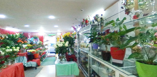 Avaliações doQue Seja Flor em Porto - Floricultura