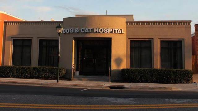 Dog & Cat Hospital