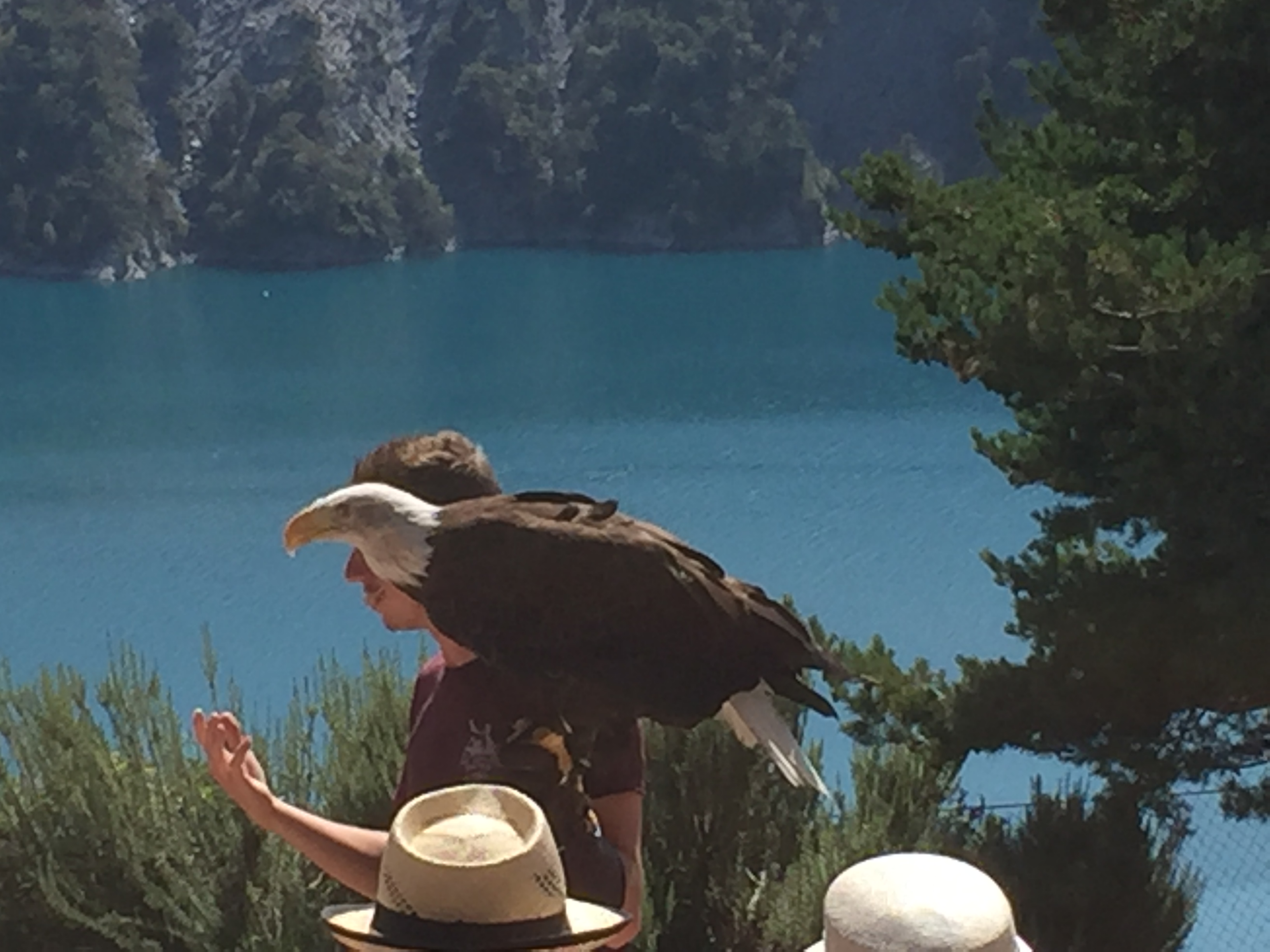 Photo n° 6 de l'avis de patrice.i fait le 15/09/2020 à 19:57