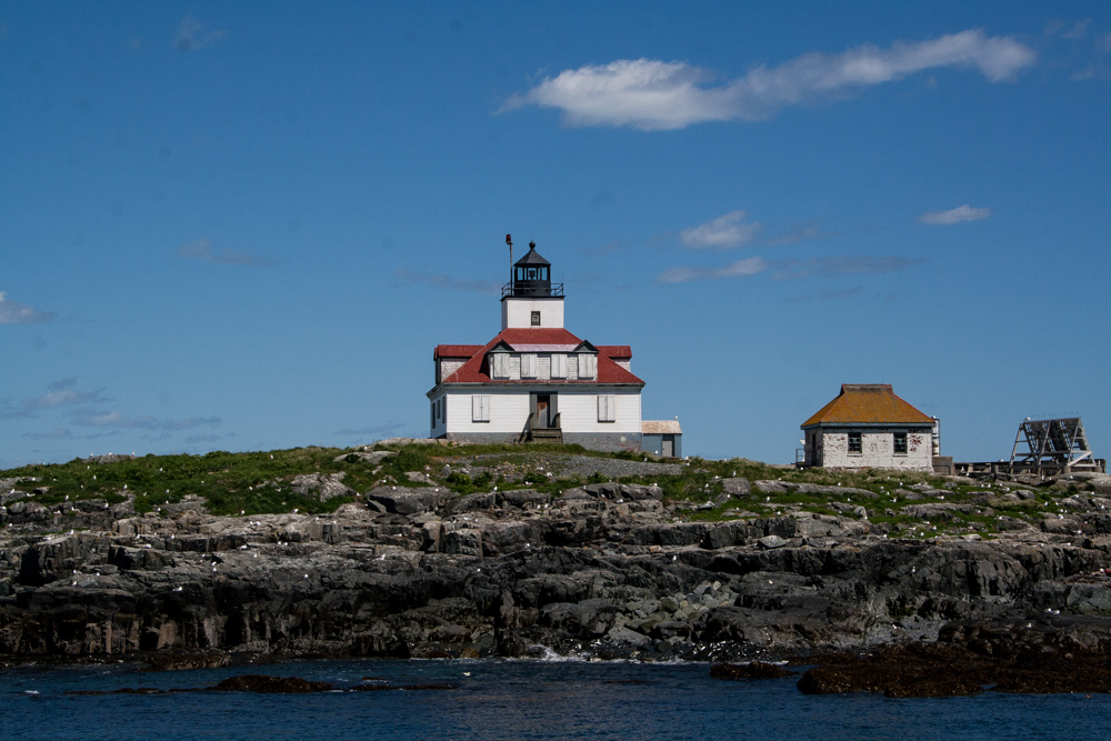 Acadian Boat Tours