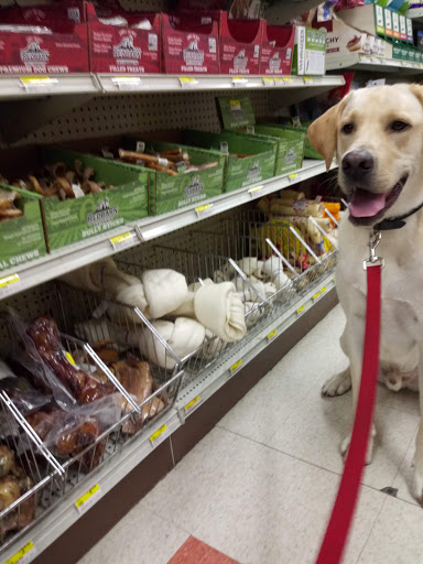 Stoltzfus Feed & Supply