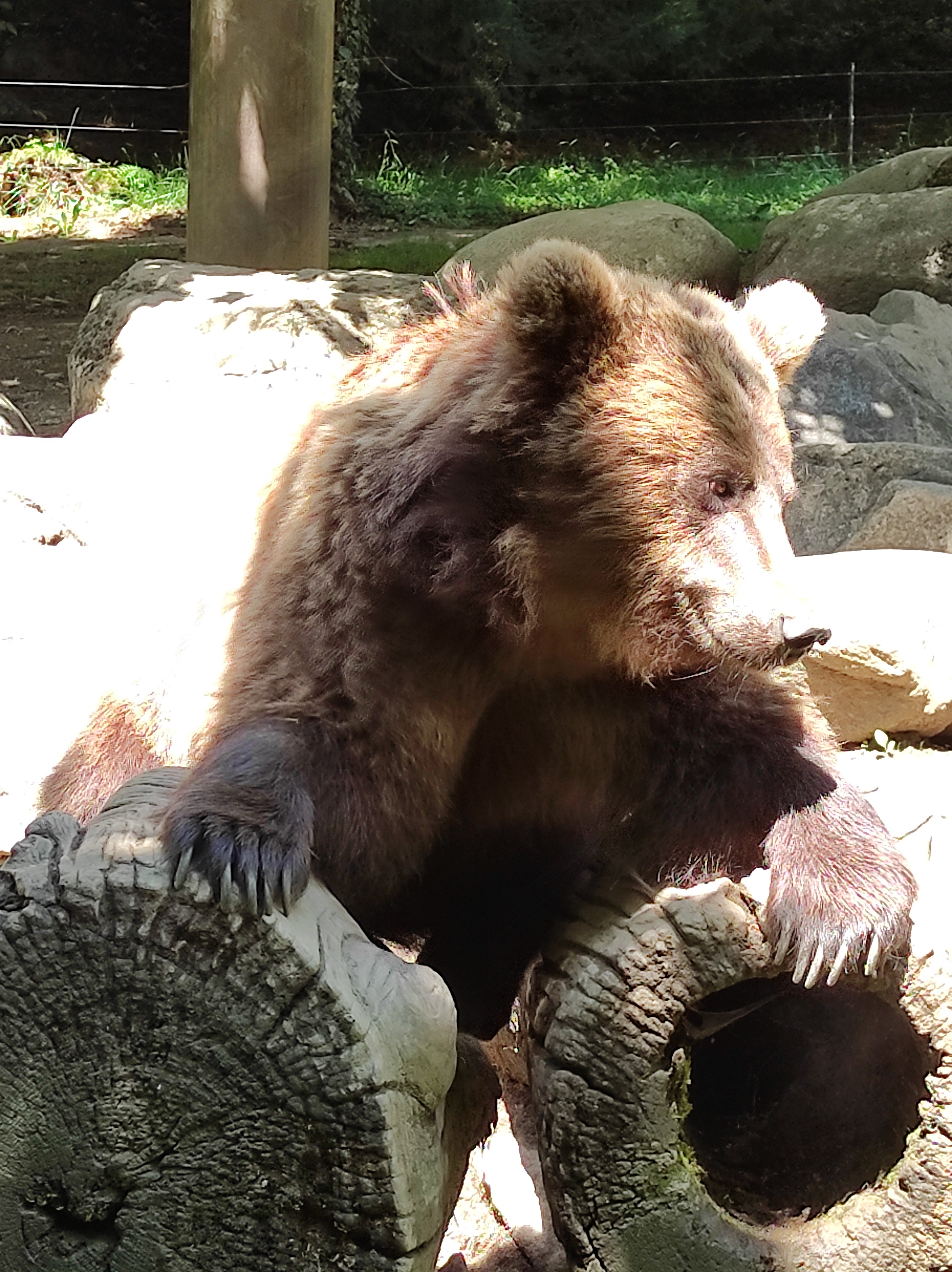 Photo n° 3 de l'avis de Ludovic.u fait le 08/07/2021 à 13:46