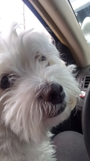 150 Berlin St, Middletown, CT 06457, USA