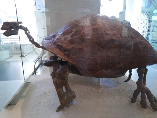 Modern Art Museum «The Museum of Modern Art», reviews and photos, 11 W 53rd St, New York, NY 10019, USA