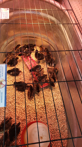 Animal Feed Store «Wilco Farm Store», reviews and photos, 3285 Commercial St SE, Salem, OR 97302, USA