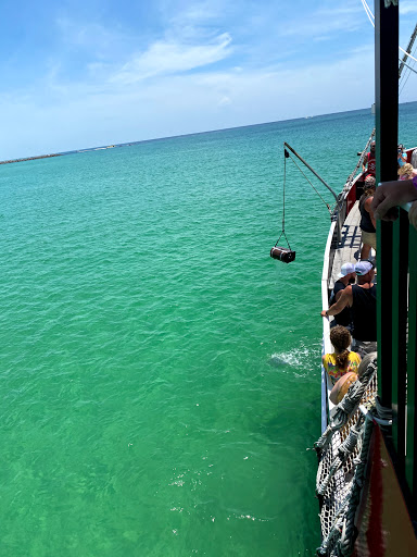Tourist Attraction «Sea Dragon Pirate Cruise», reviews and photos, 5325 N Lagoon Dr, Panama City, FL 32408, USA