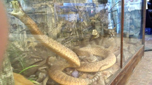 Tourist Information Center «Carlsbad Caverns National Park Headquarters», reviews and photos