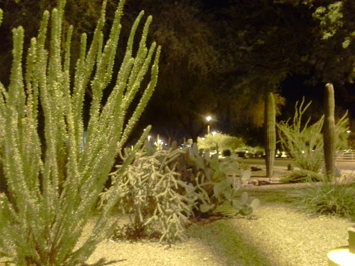 Hotel «Desert Diamond Casino & Hotel», reviews and photos, 7350 South Nogales Highway, Tucson, AZ 85756, USA