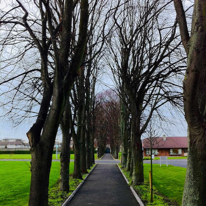 All-Ireland Institute of Hospice and Palliative Care