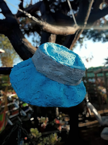 Opinii despre Vivero Punta de Tralca în El Quisco - Centro de jardinería