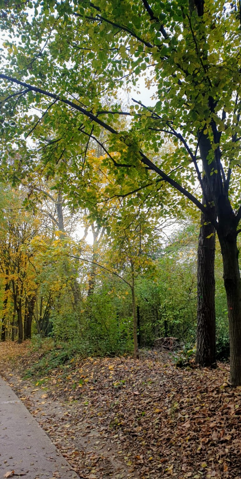 Photo n° 6 de l'avis de M.. fait le 15/11/2021 à 00:15