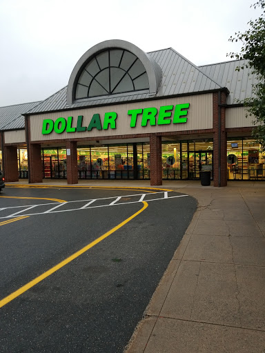 Dollar Store «Dollar Tree», reviews and photos, 935 Riverdale St G106, West Springfield, MA 01089, USA