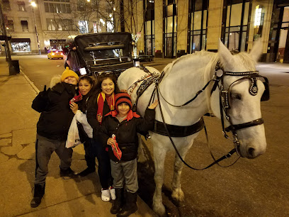 Chicago Horse & Carriage