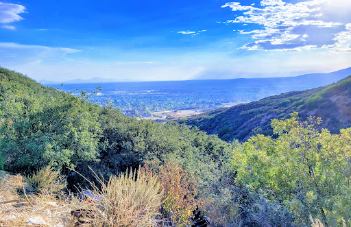 Bailey Canyon