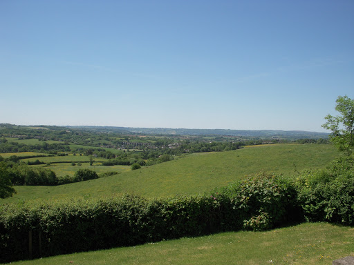 Cleracres Cattery