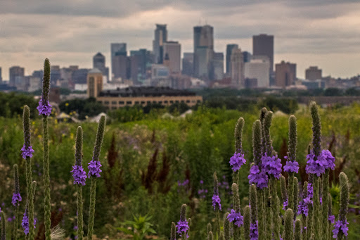 Park «Ridgway Parkway Park», reviews and photos, 3109 Ridgway Pkwy, Minneapolis, MN 55413, USA