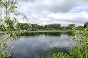 Midlands Open Water image