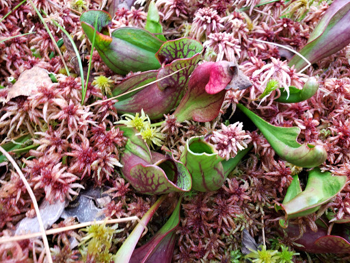 Nature Preserve «Lee & Rose Warner Nature Center», reviews and photos, 15375 Norell Ave N, Marine on St Croix, MN 55047, USA