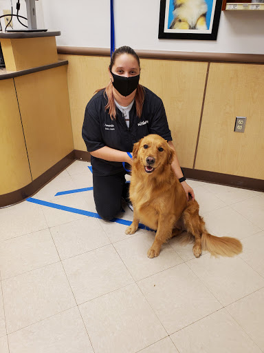 Pet Supply Store «PetSmart», reviews and photos, 9921 Pulaski Hwy, Baltimore, MD 21220, USA