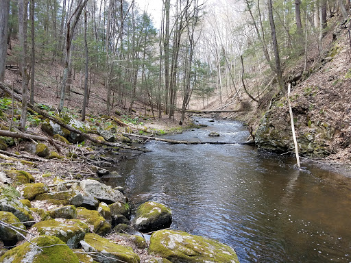 Nature Preserve «Mianus River Gorge Preserve», reviews and photos, 167 Mianus River Rd, Bedford, NY 10506, USA