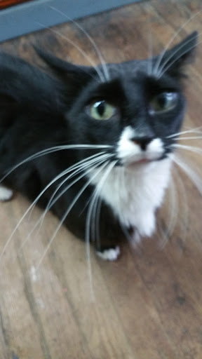 Pet Supply Store «Park Feed Store & Pet Supply», reviews and photos, 5775 Park Blvd N, Pinellas Park, FL 33781, USA