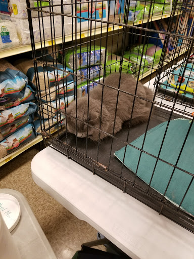 Pet Supply Store «PetSmart», reviews and photos, 8175 Arbor Square Dr, Mason, OH 45040, USA