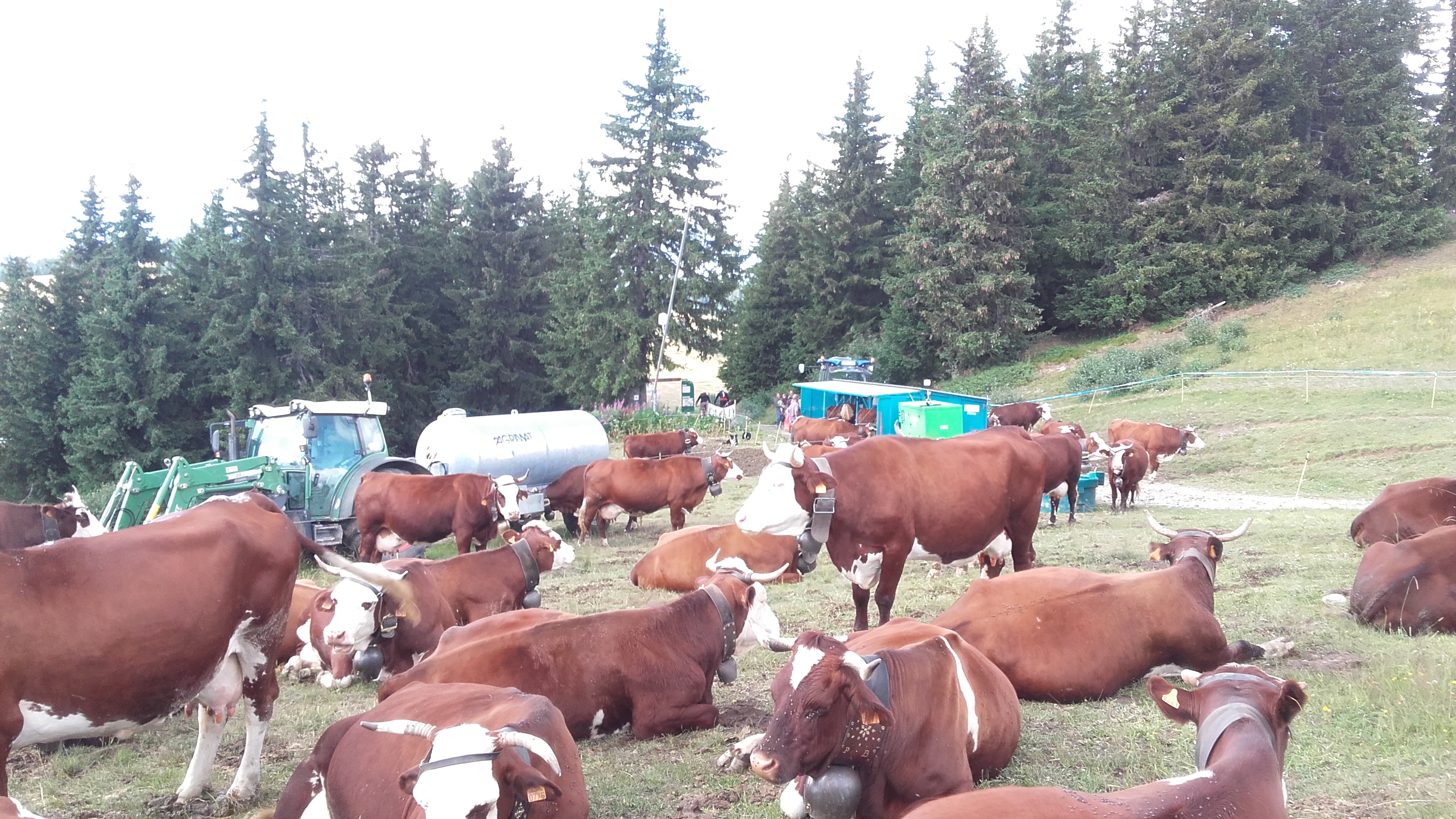 Photo n° 7 de l'avis de Lafon.r fait le 13/08/2018 à 10:24