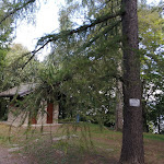 Photo n°6 de l'avis de Anna.5 fait le 05/09/2022 à 12:17 sur le  Paradiso delle Rane à San Giorio di Susa