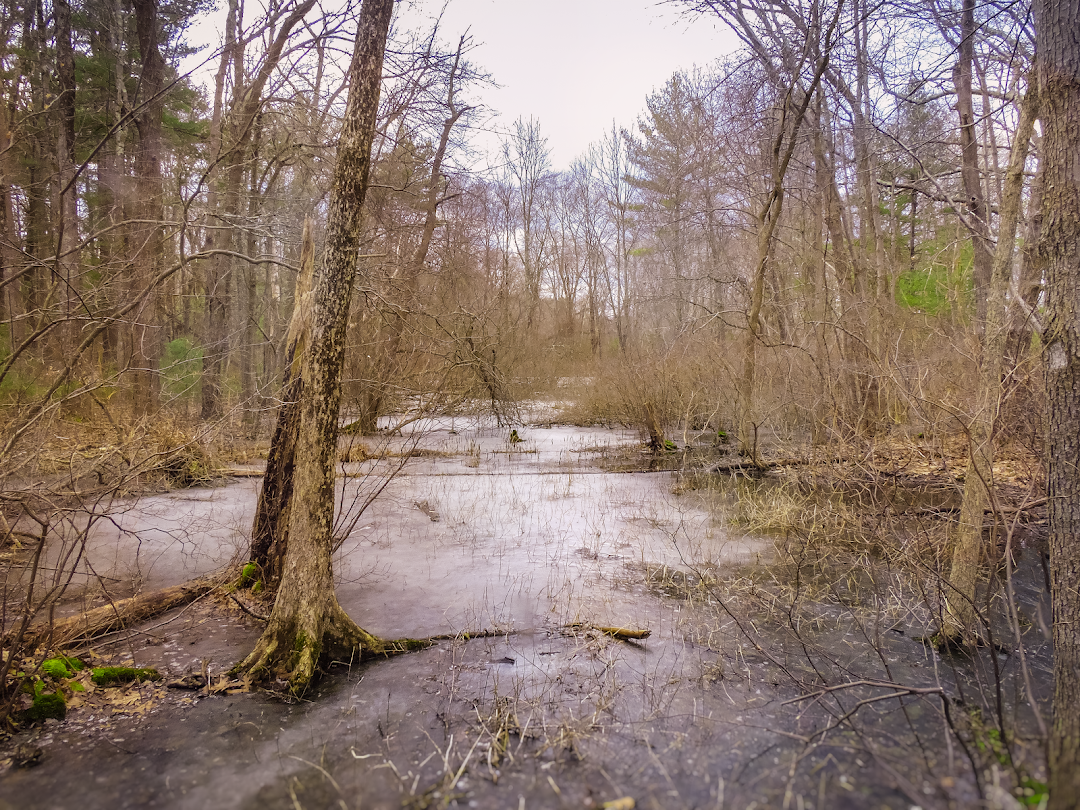 Dow Brook Conservation Area